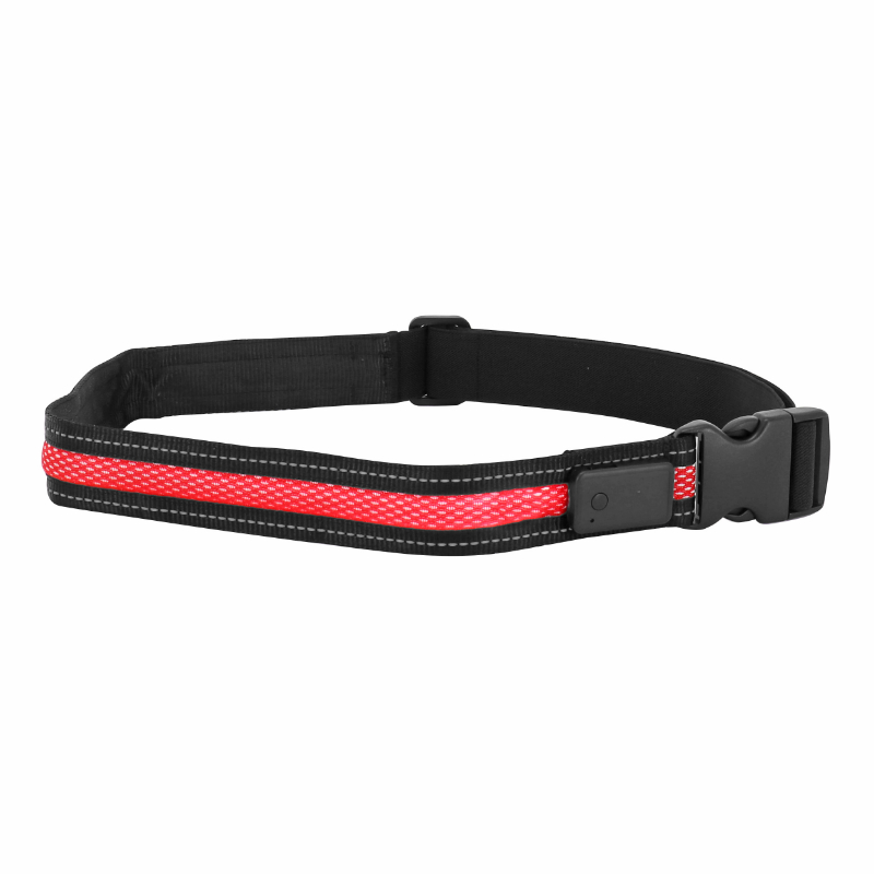 CEINTURE ECLAIRAGE VELO USB AVEC TELECOMMANDE 2 MODES FLASH ET CONTINU - PERMET D'ETRE VU