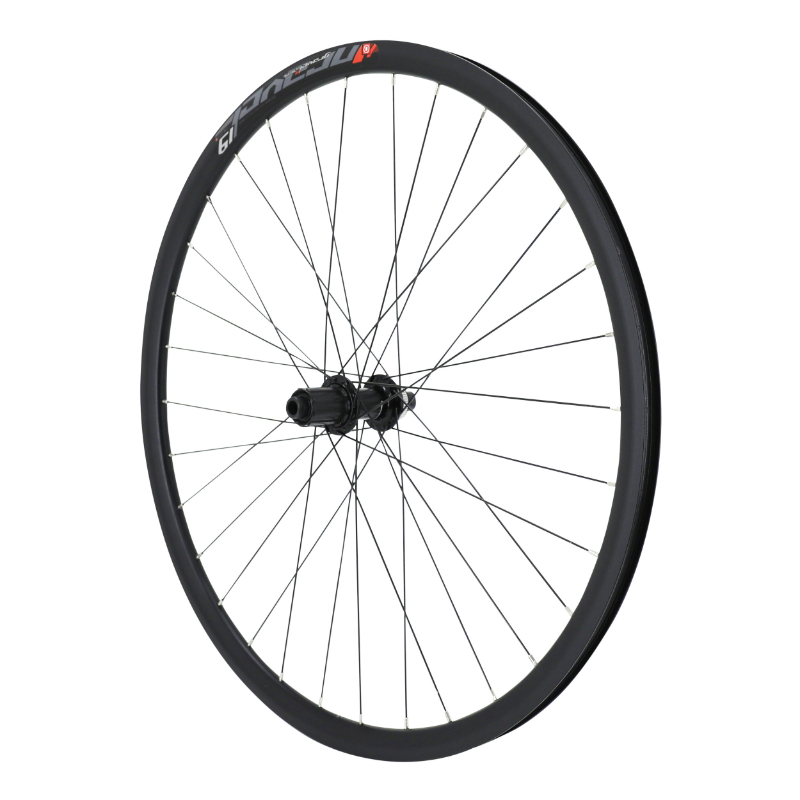 ROUE GRAVEL - ROUTE DISQUE 700 PULSE 19 ARRIERE MOYEU SHIMANO RS470 CENTERLOCK NOIR CASSETTE 11-10V TUBELESS READY AXE TRAVERSANT 12-142 JANTE 19C 32 RAYONS ACIER NOIR