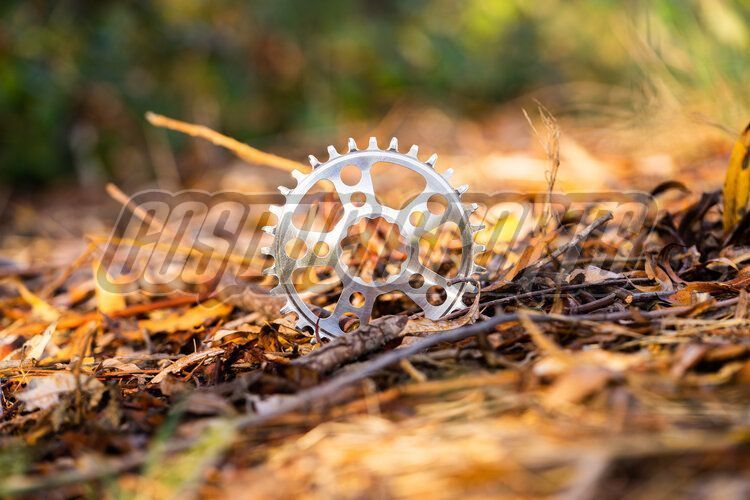 WHITE INDUSTRIES MR30 TSR BOOST DIRECT MOUNT CHAINRING, POLISHED SILVER, 38 Z.