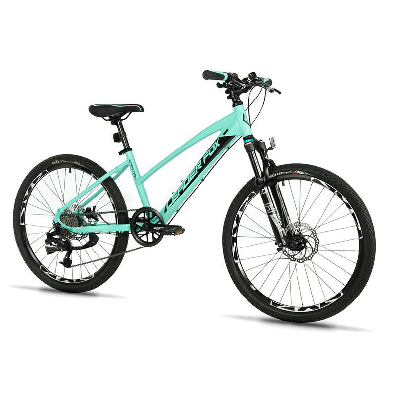 VELO MUSCULAIRE VTT 24 LEADER FOX CAPITAN 2025 FILLE VERT MAT 8V (TAILLE ENFANT 135 à 145 CM) VELO MUSCULAIRE VTT 24 LEADER FOX CAPITAN 2025 FILLE VERT MAT 8V (TAILLE ENFANT 135 à 145 CM)