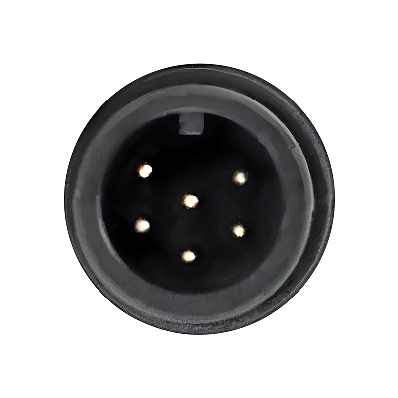 CONNECTEUR ETANCHE TROTTINETTE 6 BROCHES MALE (VENDU PAR 5) -SELECTION P2R- CONNECTEUR ETANCHE TROTTINETTE 6 BROCHES MALE (VENDU PAR 5) -SELECTION P2R-