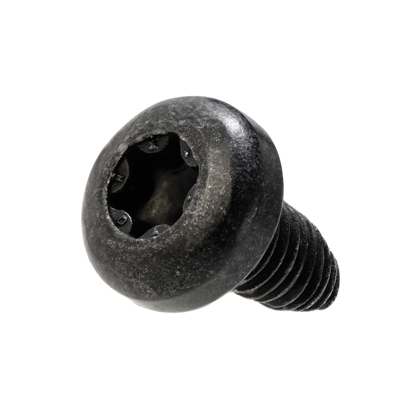 VIS POUR FIXATION CONNECT MODULE BOSCH - BDU33YY - BDU37YY VIS POUR FIXATION CONNECT MODULE BOSCH - BDU33YY - BDU37YY