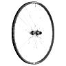 ROUE VTT DISQUE 29\" DT SWISS X1900 BOOST CENTERLOCK TUBELESS READY ARRIERE NOIR SHIMANO 10-11V  AXE TRAVERSANT 12-148 - JANTE 25C - RESISTE POIDS 110KGS