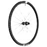 ROUE ROUTE DISQUE 700 DT SWISS E1800-32 ENDURANCE ARRIERE CASSETTE SHIMANO 11-10V CENTERLOCK TUBELESS READY AXE TRAVERSANT 12-142MM JANTE 20C