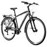 VELO MUSCULAIRE CITY BIKE 28 LEADER FOX FERRARA HOMME GRIS 8V (19'' - H48CM - TAILLE L - POUR ADULTE DE 175CM à 183CM)
