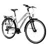 VELO MUSCULAIRE CITY BIKE 28 LEADER FOX FERRARA FEMME ARGENT 8V CADRE 16,5 POUCES (TAILLE ADULTE 160 à 168 CM)