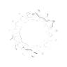PIGNON 11V. SHIMANO XT M8000-SLX M7000-DEORE M5100 15D. POUR CASSETTE 11-40 , 11-42 , 11-46