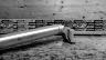 PAUL COMPONENT TALL & HANDSOME POST, 30.9MM, 360MM, 26MM, 7X7MM RAILS, SILVER