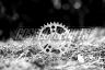 WHITE INDUSTRIES ENO17 TSR DIRECT MOUNT CHAINRING, POLISHED SILVER, 42 Z.