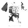 TROY LEE DESIGNS FLOWLINE SS JERSEY, CONFINED, MIST, YOUTH S, KINDER, S