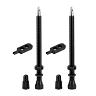 VALVE DE PNEU TUBELESS PRESTA HUTCHINSON 80 MM OBUS DEMONTABLE (VENDU A LA PAIRE SUR CARTE)