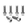 RITCHEY COMP 4AXIS STEM BOLTS, 6 PCS., STAINLESS STEEL, SILVER