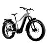 VELO ELECTRIQUE-VAE VTT FAT BIKE 26 LEADER FOX BRASA VERT KAKI 11V MOTEUR CENTRAL PANASONIC GX ULTIMATE 36V 90NM BATTERIE 20AH (20\'\' - H47CM - TAILLE L - POUR ADULTE DE 178CM à 190CM)