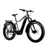 VELO ELECTRIQUE-VAE VTT FAT BIKE 26 LEADER FOX BRASA ARGENT 11V MOTEUR CENTRAL PANASONIC GX ULTIMATE 36V 90NM BATTERIE 20AH (18'' - H45,7CM - TAILLE M - POUR ADULTE DE 165CM à 178CM)