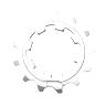 PIGNON 11V. MICHE POUR CAMPAGNOLO 13D.