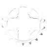 PIGNON 11V. MICHE POUR CAMPAGNOLO 18D.
