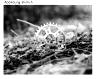 WHITE INDUSTRIES MR30 TSR BOOST DIRECT MOUNT CHAINRING, BLACK, 28 Z.